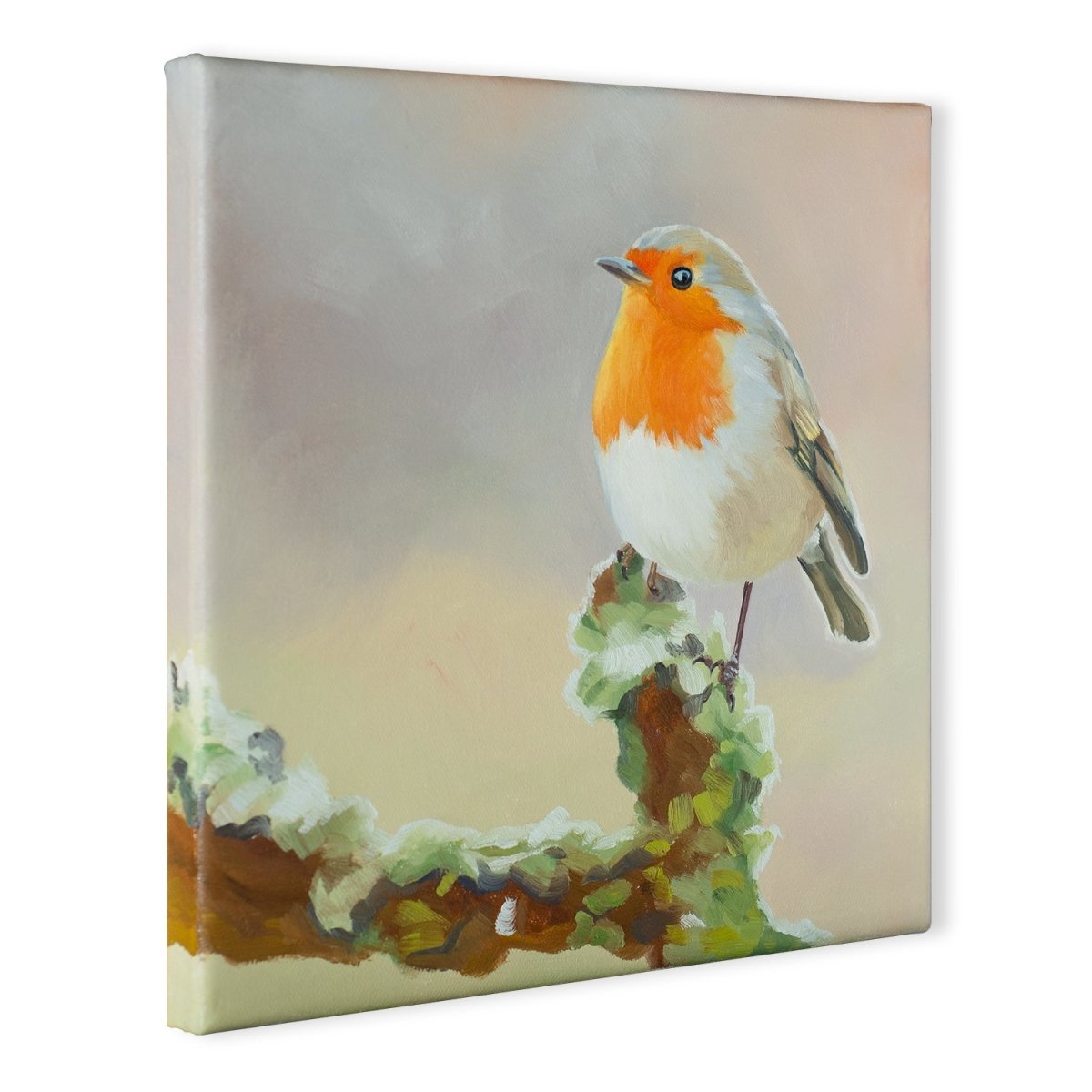 Original Oil Painting on Canvas - Bird#WT3