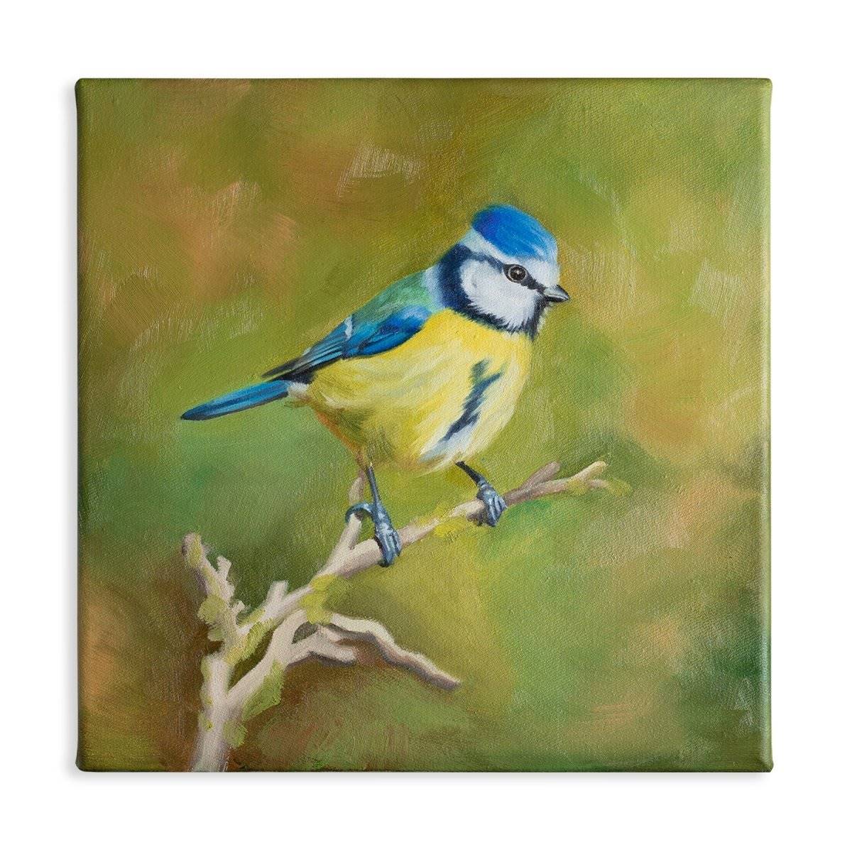 Original Oil Painting on Canvas - Bird#WT4