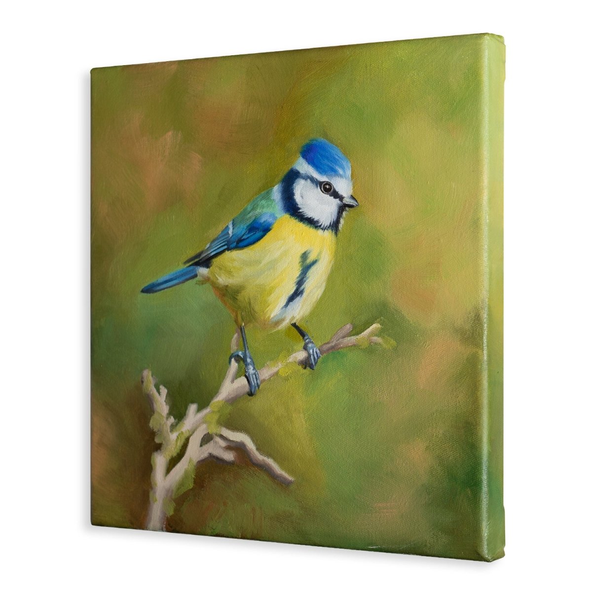 Original Oil Painting on Canvas - Bird#WT4