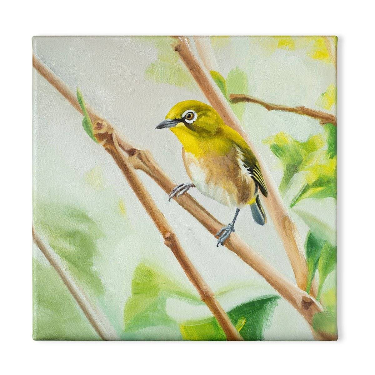Original Oil Painting on Canvas - Bird#WT5
