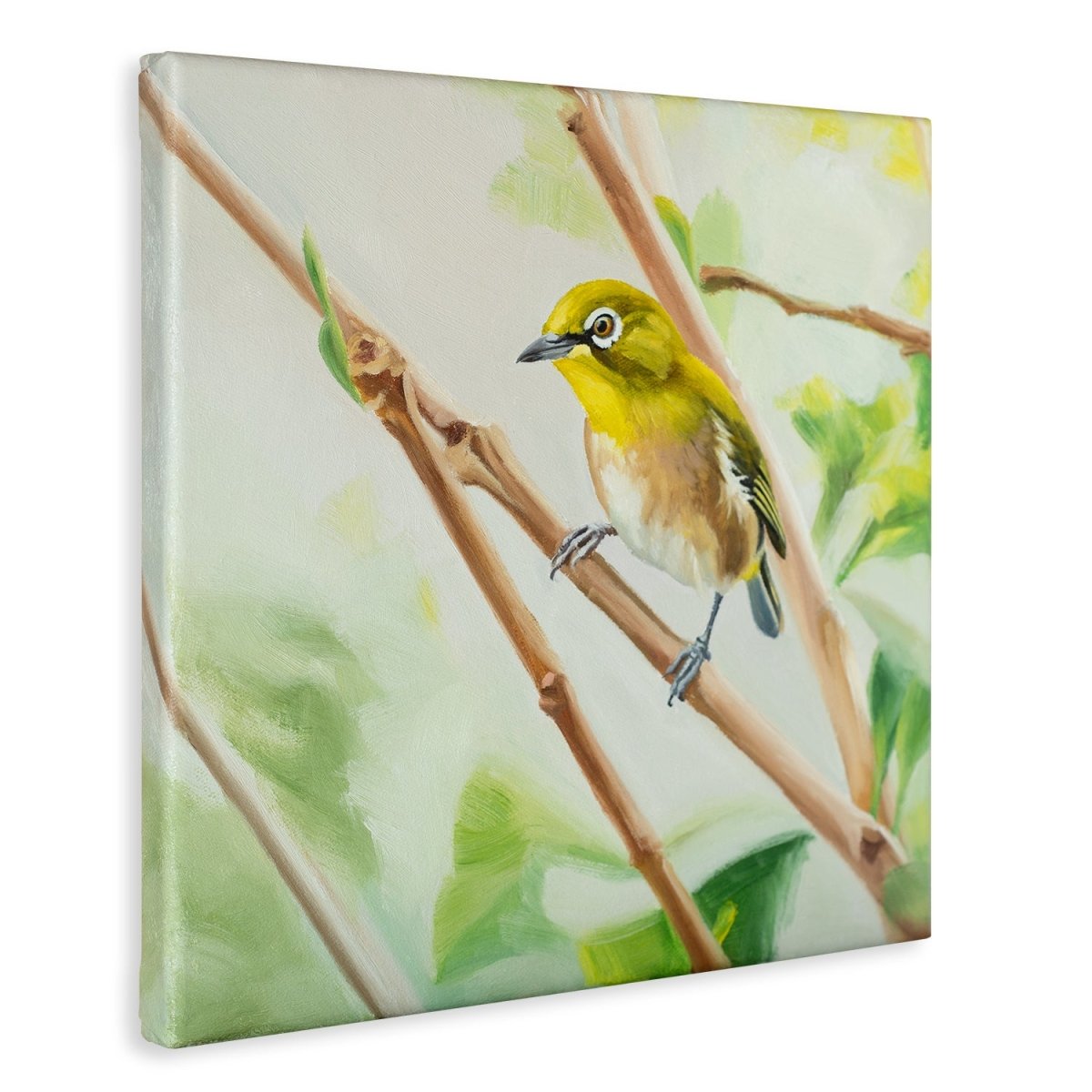 Original Oil Painting on Canvas - Bird#WT5