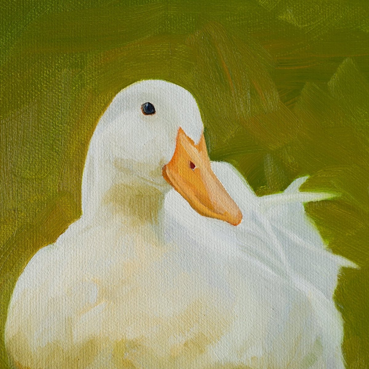 Original Oil Painting on Canvas - Duck